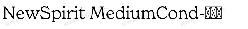 NewSpirit MediumCond字体转换